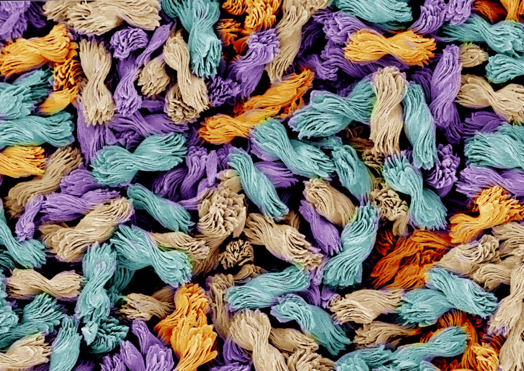 ربطة عنق على نطاق ميكرون مع لفات مغلفة حلوى في صورة مجهر إلكتروني ملون