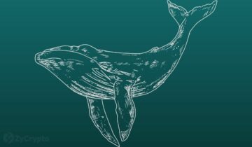 Les crypto-baleines se chargent sur XRP et MATIC, défiant l'incertitude du marché - Les données en chaîne révèlent