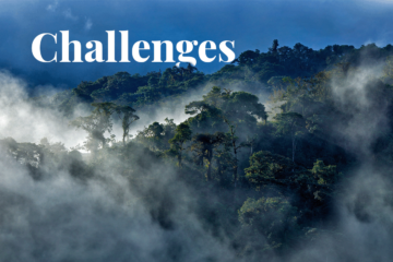 Οι προκλήσεις της αποψίλωσης των δασών του Ισημερινού: εξισορρόπηση της οικονομικής ανάπτυξης και της προστασίας του περιβάλλοντος