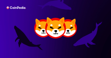 Ethereum Whales Hype Up Shiba Inu with Shibarium Launch On Horizon