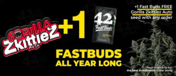 FastBuds Seeds minden rendelésnél!