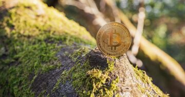 Greenpeace's Bitcoin Art Piece Praised by Supporters