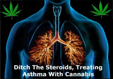 Is There a Direct Link Between Cannabis Legalization and Rising Asthma Cases in Kids?