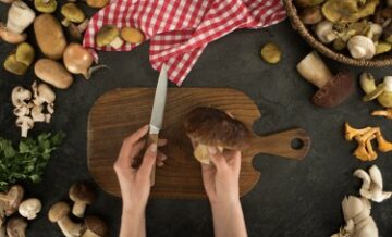 마법의 버섯 요리법 및 요리 요령