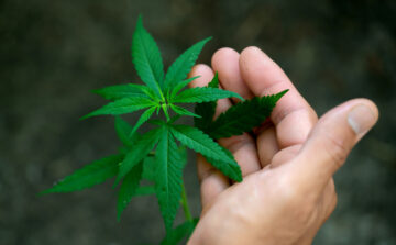 Marihuaanakaristuse reformi juhised Hankige DOJ-i tuge