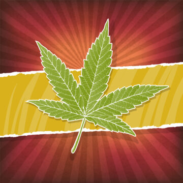 Lovforslaget om medisinsk marihuana vedtok Ky Senatets komité