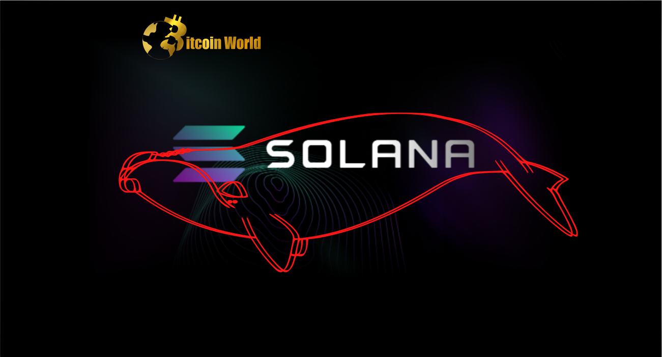 Загадочные кошельки Solana Whale перевели более 60 миллионов долларов в SOL на Coinbase