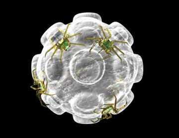 Novo tratamento com nanopartículas pode reparar o bombeamento de vasos linfáticos