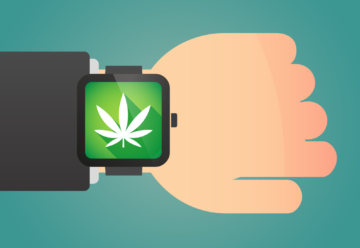 Cannabis de Nova York: a atualização de atualização de tempo