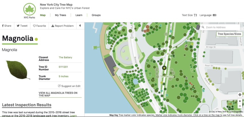 Peta Pohon Taman NYC