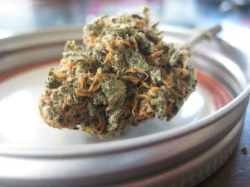 Oklahoma votes down recreational marijuana