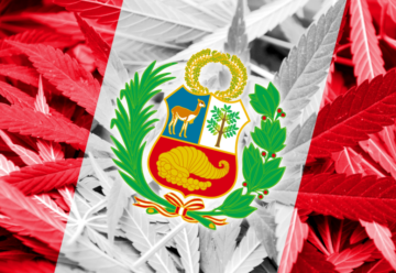 페루: 새로운 의료용 대마초 규정