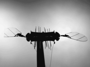 Spenstige roboter på størrelse med insekter fortsetter å fly selv etter vingeskader