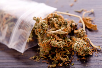 Синтетичні канабіноїди ще більше розривають між промисловістю марихуани та коноплі