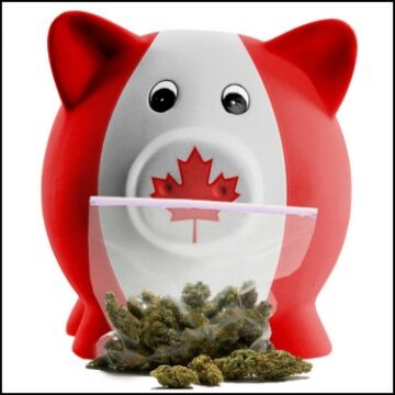 캐나다 정부는 1년 합법화가 시작된 이후 대마초 세금으로 2018억 달러 이상을 징수했습니다.