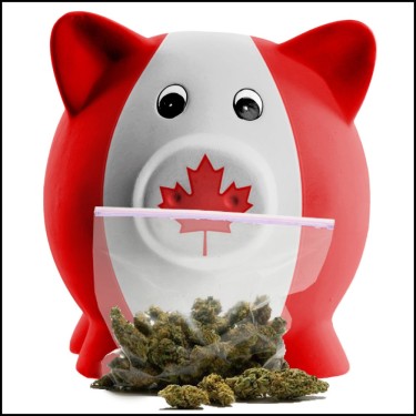 Canadian cannabis tax revenue