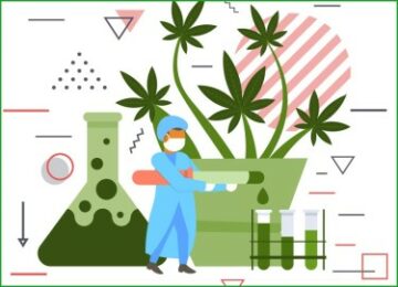 Het Cannabis Testing Lab-probleem - THC-niveaus vervalsen om zaken te doen, wat regelgevers fout doen bij het testen van wiet