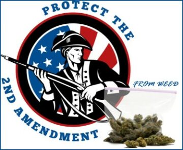 La perdita della libertà - Il secondo emendamento e il consumatore comune di cannabis