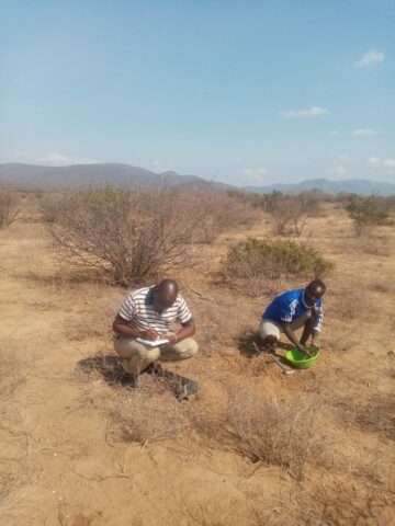 Thực tế lấy mẫu đất ở Bắc Kenya với Jackson Kikardi