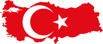 Turkish Guidance on Withdrawals and Recalls: Voluntary and Forced Withdrawals and Recalls