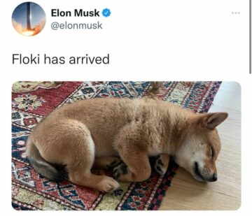 What is FLOKI INU? And How to get a FLOKI Loan?