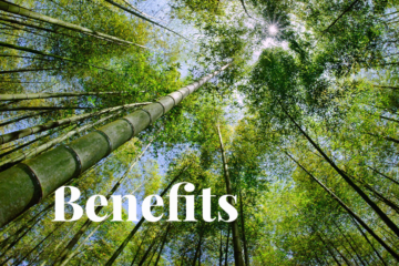 What kind of nature benefits does bamboo offer?