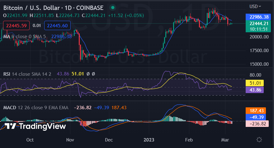 Graphique BTC/USD sur 1 jour, Source : Tradingview