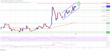 XRP Price Prediction: Ripple Bulls Are Not Done Yet And Still Aim $0.5
