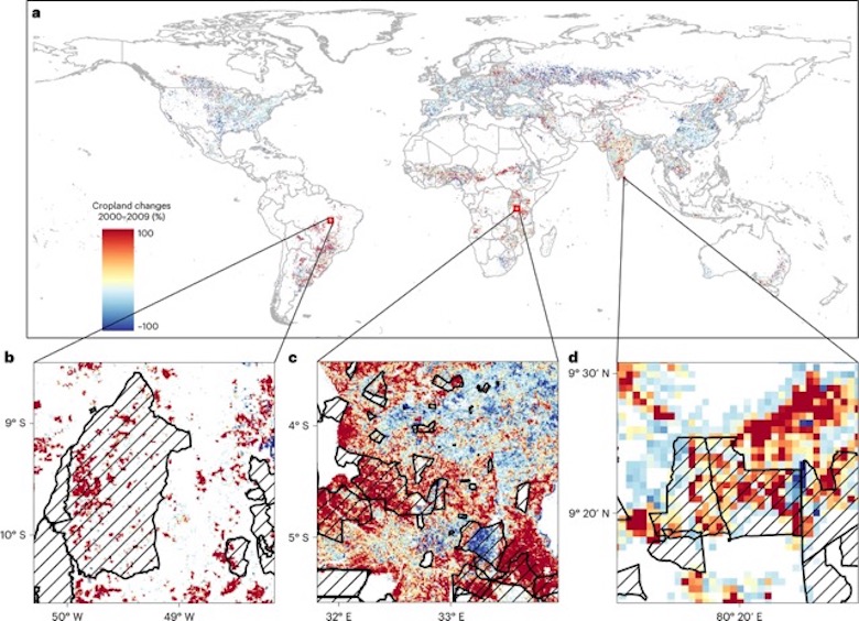 Global distribution of cropland changes in protected areas.