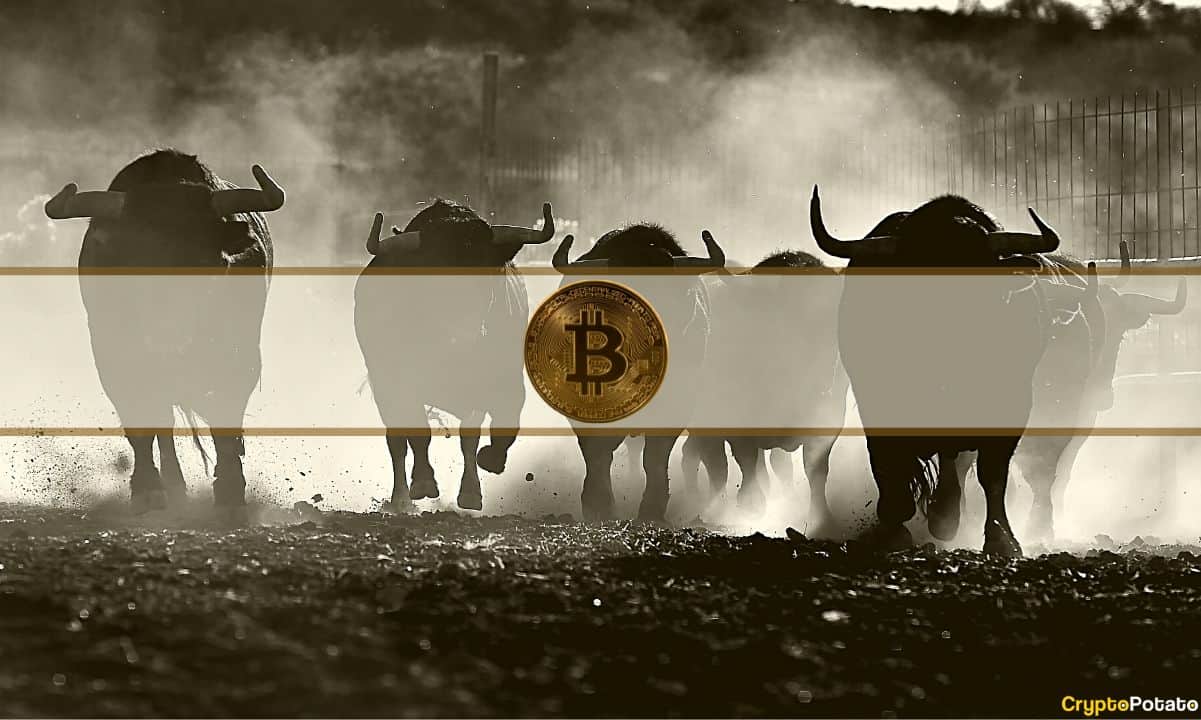 Bitcoin maart Monthly Close schetst een bullish beeld
