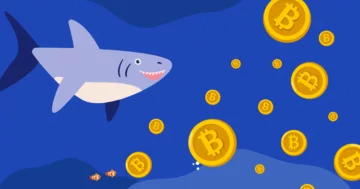 BTC Live News: Retur af slumrende Bitcoin-hvaler vækker bekymring blandt handlende