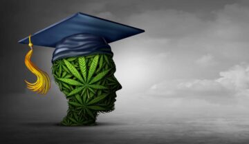 California Cannabis Department bevilger nesten 20 millioner dollar til akademiske institusjoner