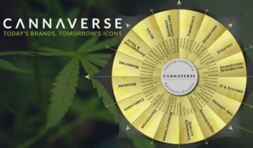 Consulting Services Evolved: Cannaverse Solutions Welcomes Rob Piziali
