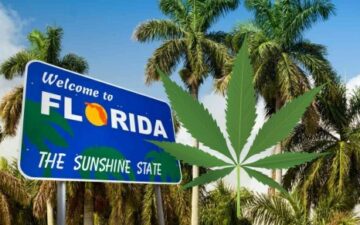 کیا فلوریڈا نے صرف بھنگ کو قانونی شکل دی؟