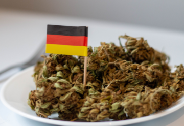 Німеччина представила масштабний план легалізації канабісу