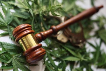 Hus lagstiftare återinför tvåpartisan Cannabis Expungement Bill