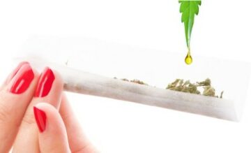 Hur förbättrar infunderade pre-rolls din cannabisupplevelse?