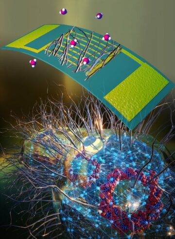 Microbiële nanodraden creëren 'elektronische neus' voor gezondheidsmonitoring