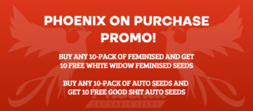 Super promoție Phoenix Cannabis Seeds 10+10!
