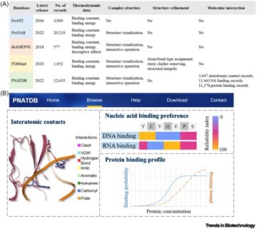 Protein-nukleinsyre termodynamiske databaser for spesifikke bruksområder