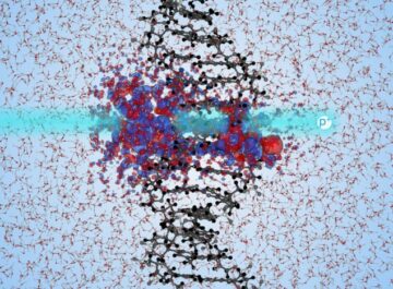 Simulaatiot valaisevat DNA-vaurion mekanismeja protonihoidon aikana