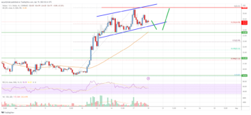 Solana (SOL) Price Analysis: Rally Seems Far From Over