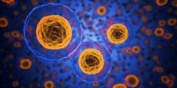 Systemic Bio apre un nuovo laboratorio in Texas per la ricerca e lo sviluppo di organi su chip biostampati