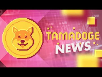 Tamadoge 1500% Incoming? Top 5 CEX Listing