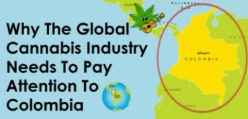 Lumea se luptă pentru a pune mâna pe înfiorătoarea tulpină de canabis din Columbia - chiar și Venezuela este prinsă la mijloc!