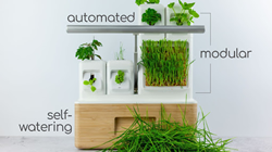totam’s Ultimate Modular Indoor Garden Now Available on Indiegogo’s...