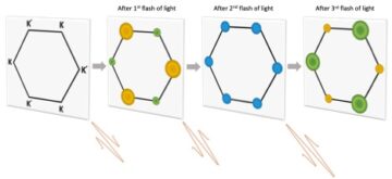 Valley-transistor i todimensionelle materialer - en ingrediens til helt optiske kvanteteknologier