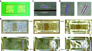 Achieving ultrahigh-density information storage with self-rolling ferroic oxide films