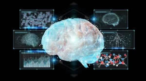 AI는 뇌 신호를 비디오로 정확하게 변환합니다.
