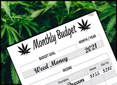 MONTHLY BUDGET FOR WEED